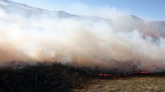 Coahuila: Incendio en la sierra de Arteaga es similar a un huracán categoría 5, asegura experto