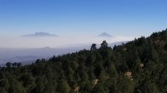 Desierto de los leones: ¿Por qué uno de los grandes pulmones de la ciudad se llama así?