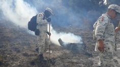 Incendio en Arteaga, controlado a la mitad; FGE de Coahuila casi finaliza investigación