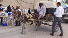 Abuelito llega montado en su burro para recibir vacuna Covid-19 en Tamaulipas