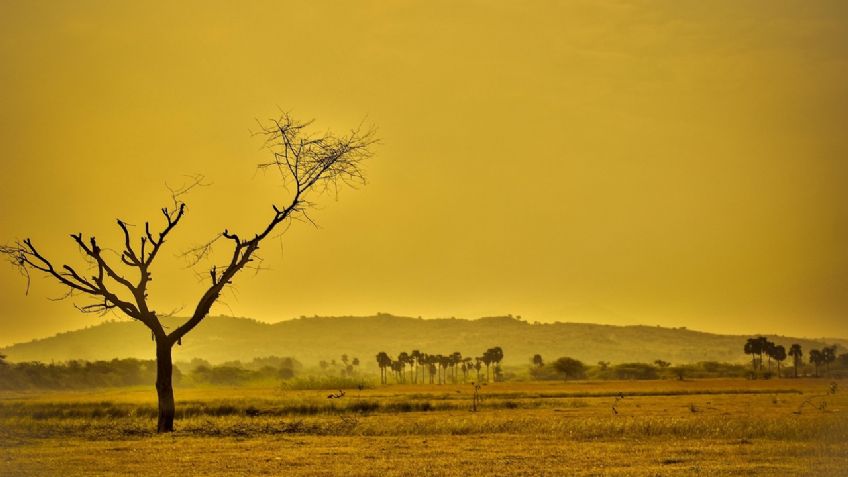 VERANO durará hasta MEDIO AÑO por culpa del calentamiento global, revela estudio