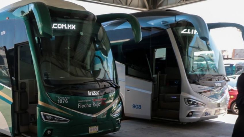 Cofece encuentra evidencia de colusión en autotransporte; aquí los detalles