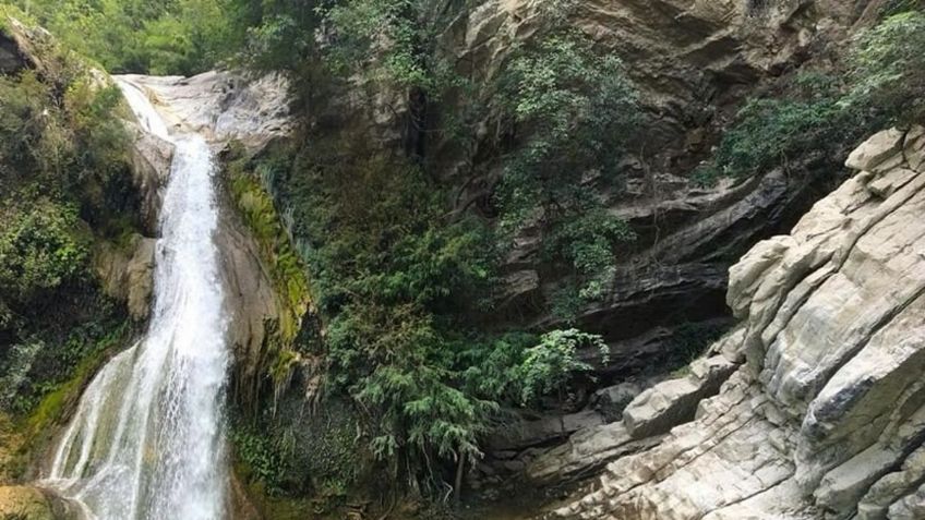 Las cascadas cerca de la CDMX que puedes visitar con tu familia