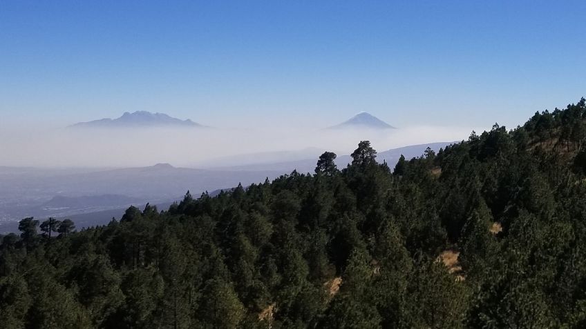 Desierto de los leones: ¿Por qué uno de los grandes pulmones de la ciudad se llama así?