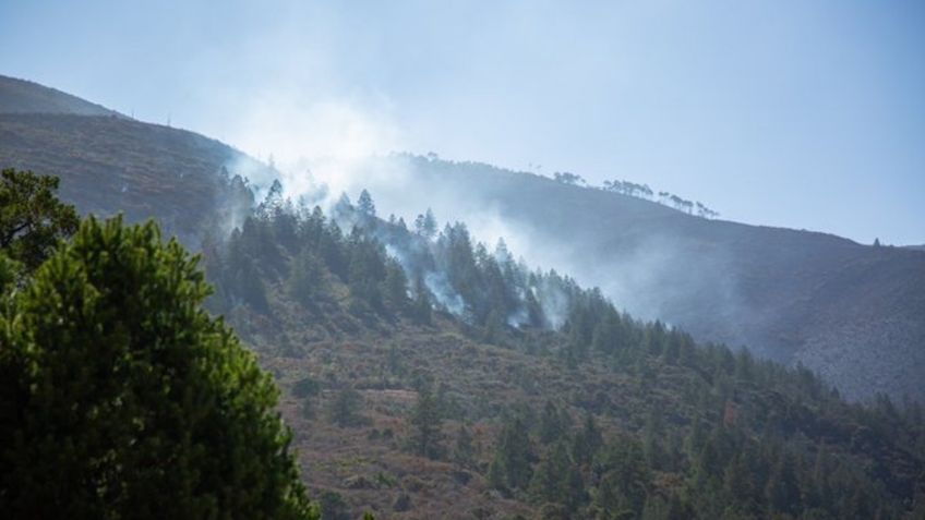 Reportan nuevos incendios en zonas boscosas del norte; hay más de 60 activos en el país 