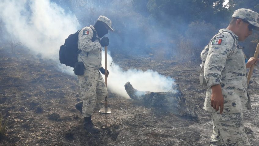 Incendio en Arteaga, controlado a la mitad; FGE de Coahuila casi finaliza investigación