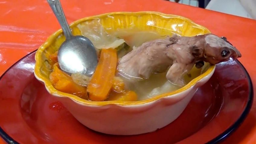 Caldo de rata ¿Te atreves a probar este platillo exótico de Zacatecas? |VIDEO