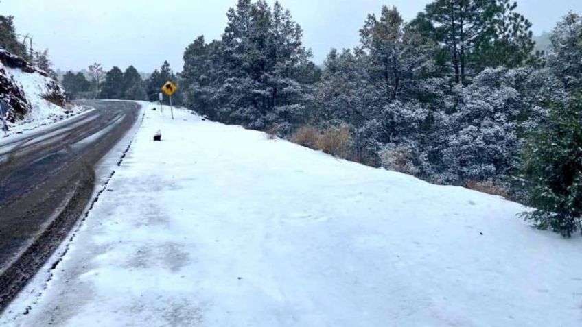 Chihuahua se pinta de blanco tras nevadas de este miércoles: VIDEOS