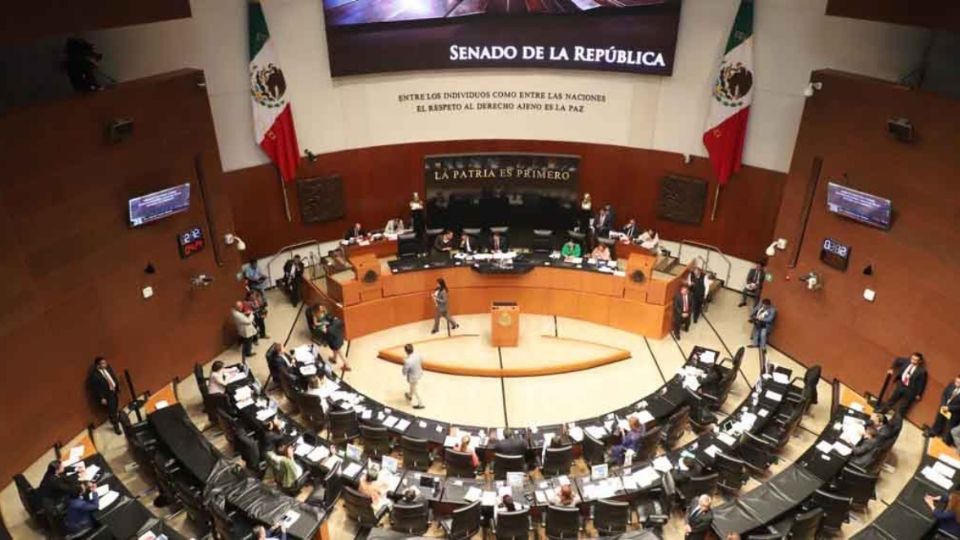 VOTACIÓN. Algunas reuniones de comisiones de la Cámara Alta fueron virtuales ayer. Foto: Especial
