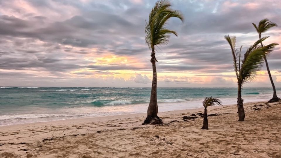 ¿Cómo te caerían unas refrescantes vacaciones?