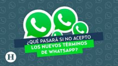 WhatsApp: ¿Qué pasa si no acepto los términos y condiciones?