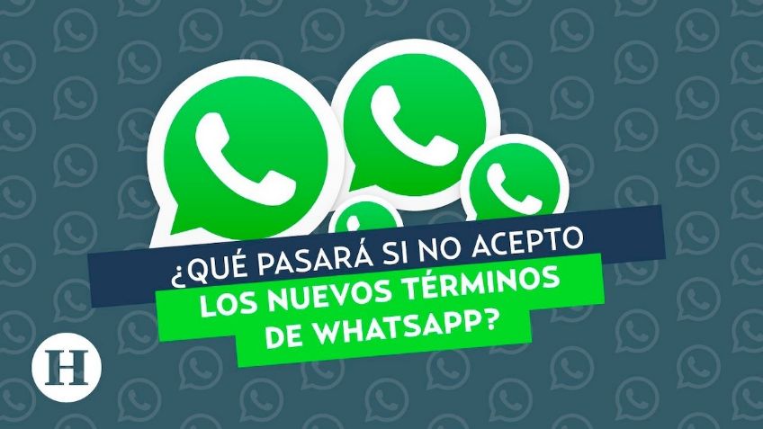 WhatsApp: ¿Qué pasa si no acepto los términos y condiciones?