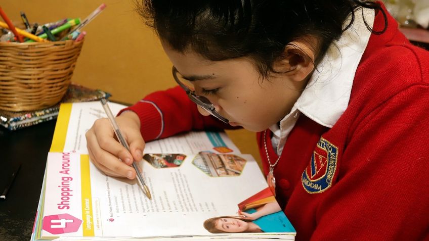 Sin acceso a la educación a distancia 20% de los estudiantes en Tamaulipas