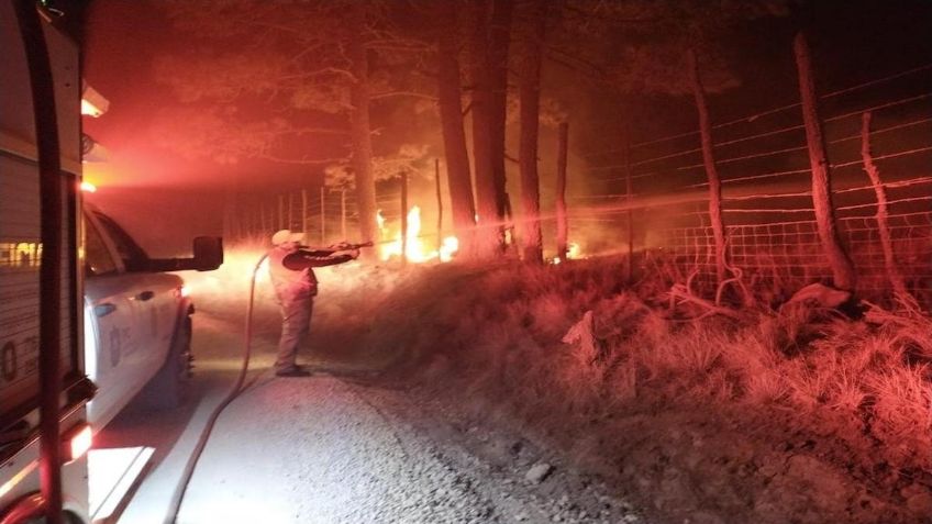 Veracruz: Liquidan incendio forestal en Las Vigas; casi 38 hectáreas afectadas