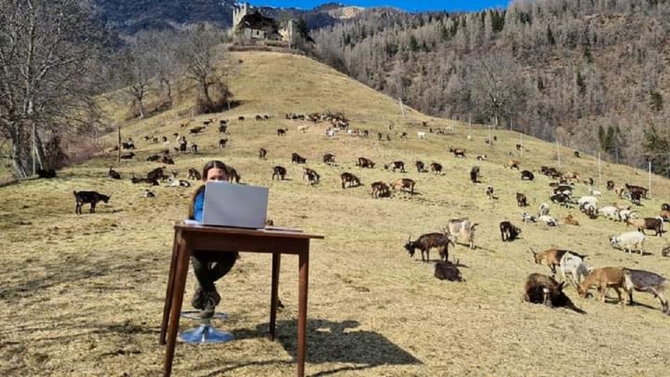 Una niña italiana toma clases online en el campo cuidando cabras