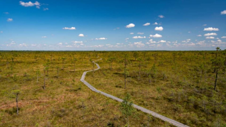 La quinta temporada de las estaciones del año en Estonia es una gran oportunidad para los lugareños que ofrecen viajes en canoa.