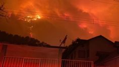 Nuevo León tiene siete incendios forestales activos; hay miles de hectáreas dañadas