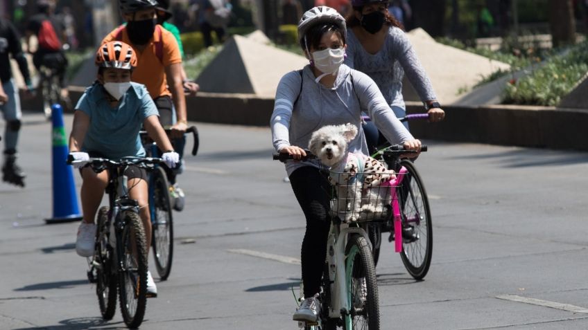 Seguros para bicicleta: Conoce sus costos y cobertura para el ciclista