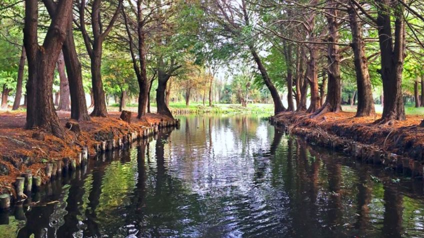 SEMANA SANTA 2021: Mapa de los parques y áreas naturales ABIERTOS en la CDMX