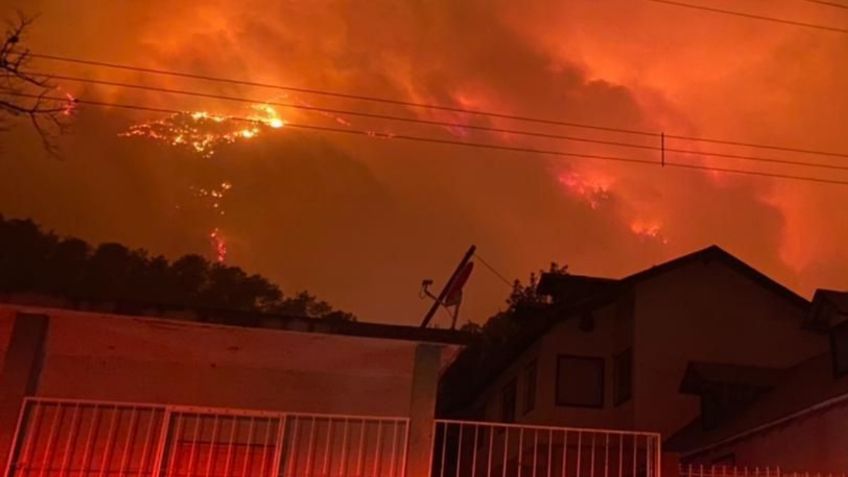 Nuevo León tiene siete incendios forestales activos; hay miles de hectáreas dañadas