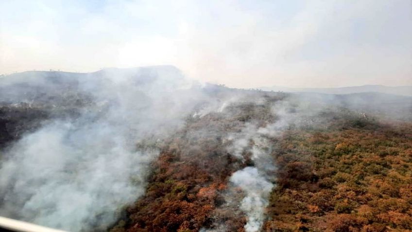 Tamaulipas: Más 200 hectáreas han sido siniestradas por incendios forestales