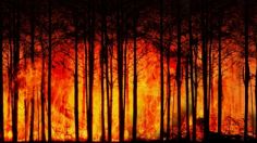 ¿Cuántos estados reportan incendios forestales y cómo van los trabajos para apagarlos?