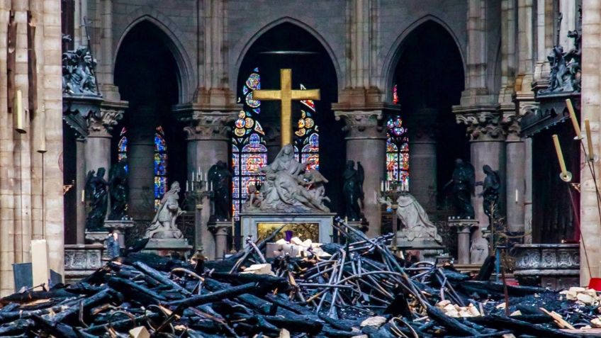 Talan árboles centenarios para reconstruir Notre Dame, cada uno cuesta 15 mil euros