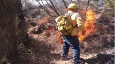 Se presentan más incendios en Puebla; fallece un voluntario en el combate al fuego