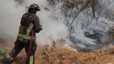 Incendio en parque de Las Águilas; Bomberos y PC controlan el siniestro | FOTOS