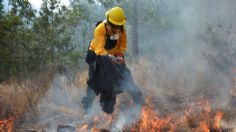 Crecen incendios 230% en un año