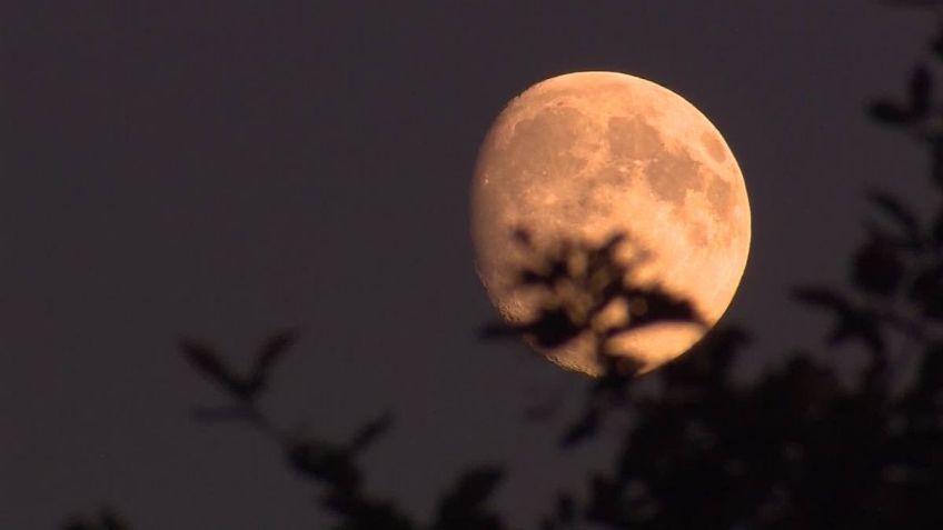 Luna de Gusano 2021: Rituales que traerán suerte y amor signo por signo