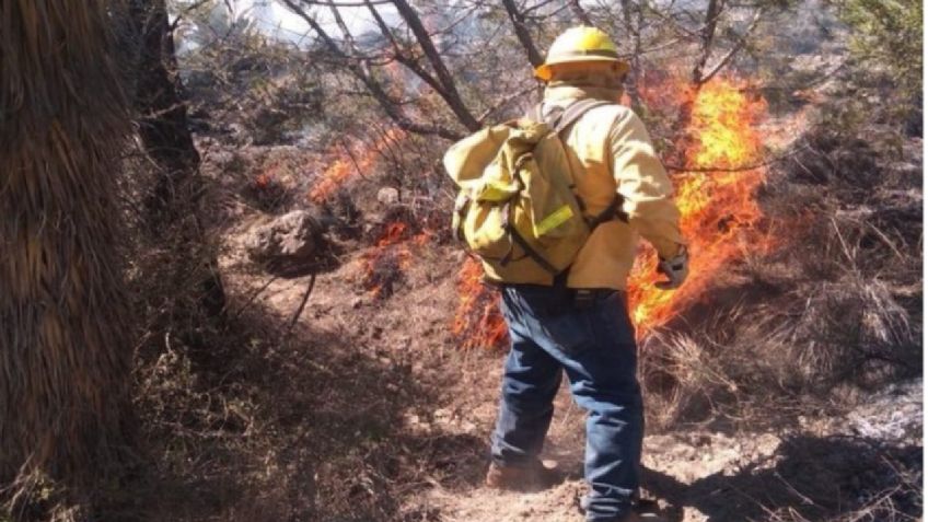 Se presentan más incendios en Puebla; fallece un voluntario en el combate al fuego