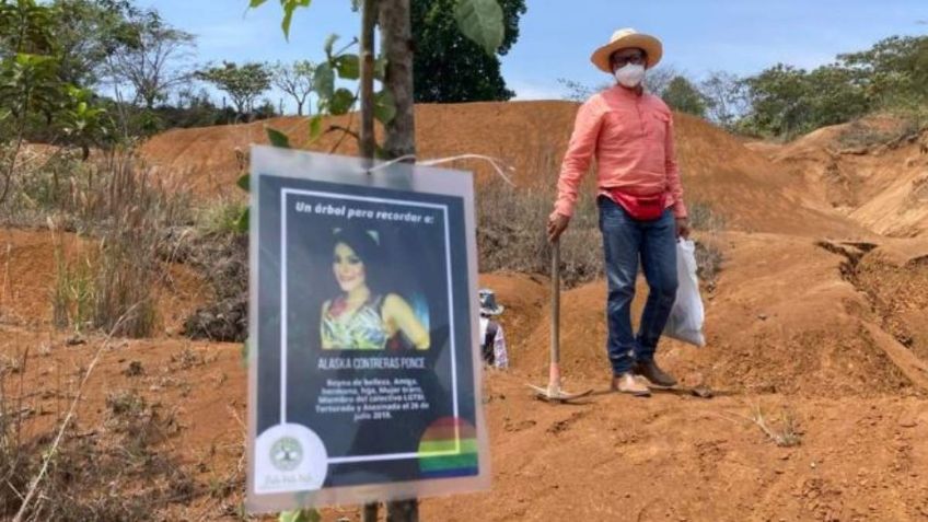 Siembran árboles en memoria de activista y 18 asesinados en Veracruz: FOTOS