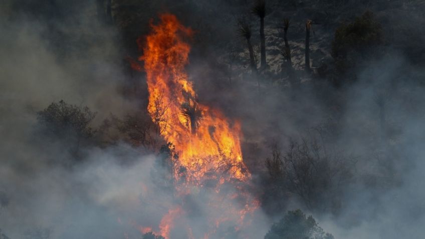 Reportan 78 incendios forestales activos en 23 estados de México