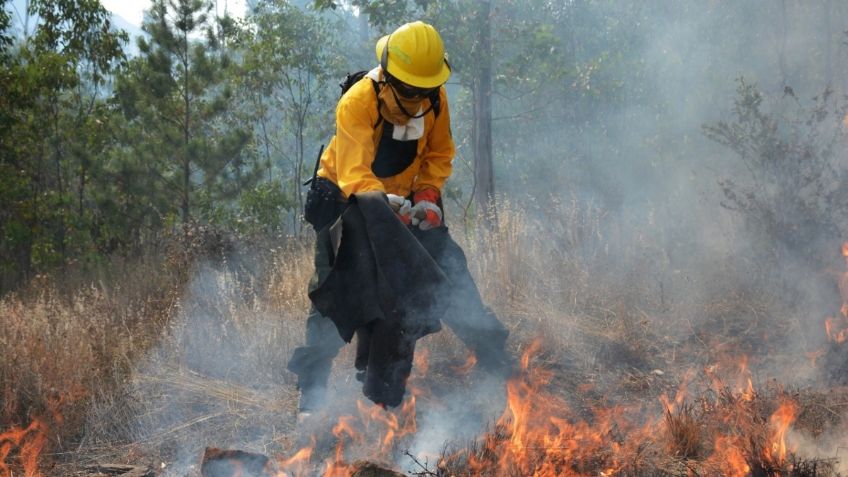 Sofocan incendios en Guerrero