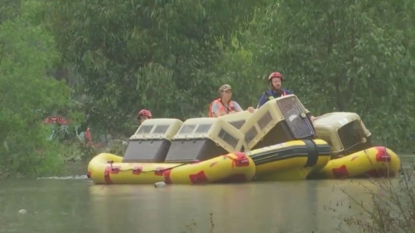 ¡Héroes sin capa! Veinte perros son rescatados de severas inundaciones: VIDEO