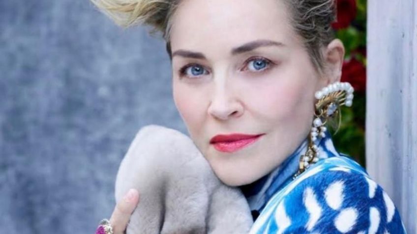 Sharon Stone confesó que su cirujano le AUMENTÓ el tamaño de sus senos SIN CONSENTIMIENTO