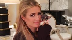 Paris Hilton derrocha su fortuna en bolsos, ¡para su perro! Uno sólo cuesta 5 mil dólares