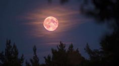 Superluna rosa durará tres días; te explicamos cuándo y cómo verla