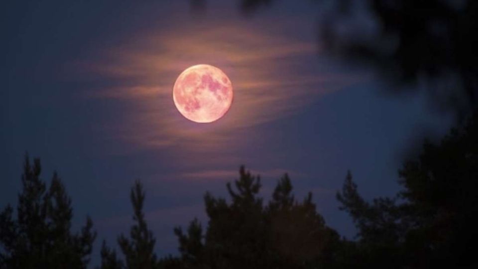 en México también será visible. Foto: Especial.