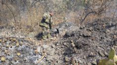 Incendio en Tlalpan "está bajo control y sin riesgo de propagarse", informan Bomberos CDMX | FOTOS