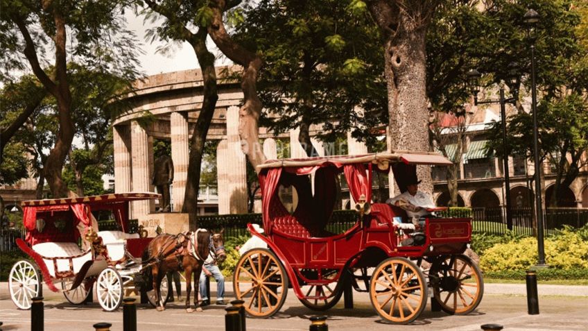 Caballos de calandrias de Guadalajara no fueron rescatados de la explotación animal, denuncia activista