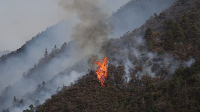 Se registran 47 incendios forestales activos en 18 estados del país: MAPA