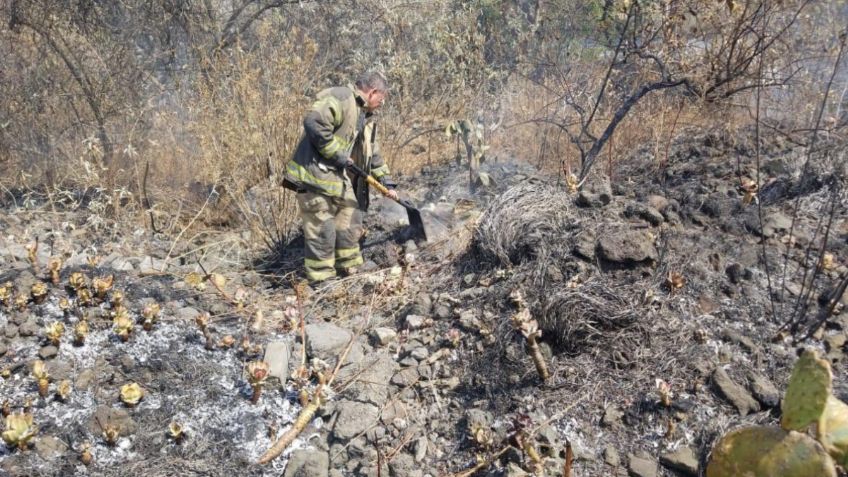 Incendio en Tlalpan "está bajo control y sin riesgo de propagarse", informan Bomberos CDMX | FOTOS