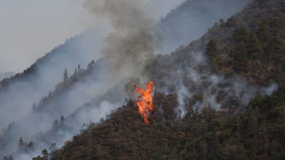 Las autoridades lograron liquidar un total de 10 incendios. Foto: Archivo | Cuartoscuro