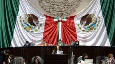 Con 15 iniciativas aprobadas, diputada de Tampico pide licencia ante Cámara de Diputados