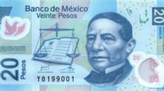 ¿Cuáles son los billetes de 20 pesos que se venden hasta en 80 mil?