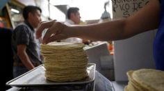 Los productores de masa y tortilla exigen ser parte de las mesas de trabajo del PACIC