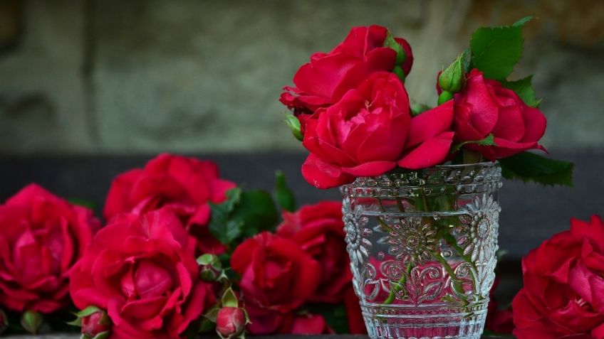 TRUCOS para mantener tus flores y rosas frescas por más tiempo