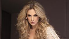 Revelan nuevos VIDEOS del altercado entre Aracely Arámbula y reporteros